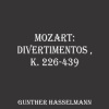 Gunther Hasselmann、Wolfgang Amadeus Mozart - No. 2: I. Allegro
