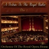 Yuri Fayer、Orchestra of the Royal Opera House - Act II