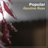 Nature Soundscape、Natural Nature Makers、Organic Nature Sounds - Light Rain on a Tin Roof