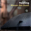 Rain Forest FX、Pacific Rim Nature Sounds、Nature Chillout - Rain Shower from the Veranda