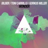 Bilber、Toni Carrillo、Gorkus Miller - Wonder