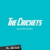 Buddy Holly、The Crickets - Maybe Baby