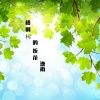 逸雨 - 梧桐树的折花