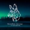Doctor Boom - Wide Awake (Original Mix)