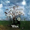 Teia - Sonho Selvas