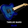 Fredrick John Pugsley《Twelve Bars Blue》[MP3/LRC]