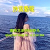 青海龙泽、SunnaLu - 恨爱无缘