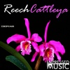 Reech - Cattleya (Original Mix)