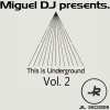 Miguel Dj《Audioteknik (Original Mix)》[MP3/LRC]