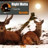 Borodin - Right Motto (Lupara Records)(Orig.)