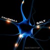 Callendula - Salt (Original Mix)