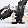 DJ马稳当、玖音 - 好嗨哦