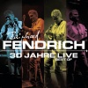 rainhard fendrich《Über meinen Horizont (Live)》[MP3/LRC]