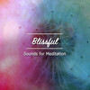 Relaxing Music for Meditation、Dr. Meditation、Powerthoughts Meditation Club - Namaste Nights