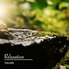 Masajes Spas、Musica Meditaction、Musica para Meditar Especialistas - Delta Zen