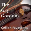 Haud Yer Lugs Celidh Band - Gay Gordons Medley: The Headlands / Barran Rocks of Adeb / Dornocklinks (Ceilidh Favourites Mix)