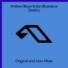 Ilan Bluestone、Andrew Bayer - Destiny