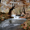 Yoga Music Reflections、Yoga Music Experience、Yoga Music Swami - Love is the Alpha Wave