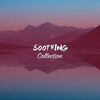 Relaxing Music for Meditation、Dr. Meditation、Powerthoughts Meditation Club - Namaste Nights