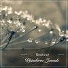Nature Soundscape、Natural Nature Makers、Organic Nature Sounds - Countryside Rain and Thunder