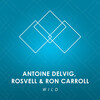 Rosvell、Ron Carroll、Antoine Delvig - Wild