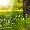 Relaxing Music for Meditation、Powerthoughts Meditation Club、Dr. Meditation - Binaural Relaxation
