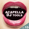 Boza《Tails from a DJ (Acapella Mix)》[MP3/LRC]