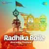 Anuradha Paudwal - Nila Chakre He