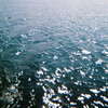 Water - BREATHE