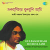 Santosh Sengupta - Harano Hiyar Nikunja Pathe - Santosh Sengupta