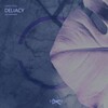 Chris Stoll - Deliacy