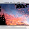 Jenson、ripley - Wonderful Nights (Radio Cut)