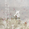 CN飙 - 落