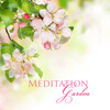 Vitamin Therapy - Meditation Music Oasis