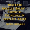 Gunther Hasselmann - Divertimento in D Major, K334-320b - II. Thema mit Variationen (Andante)