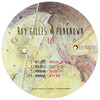 Roy Gilles - Inorganic Polymers