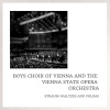 The Vienna State Opera Orchestra、Boys Choir Of Vienna - Swallows From Austria