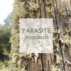 Massivan - Parasite