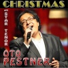 Oto Pestner - White Christmas