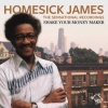 homesick james - Louise, Louise Blues
