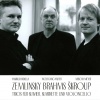 wolfgang meyer - Trio for Clarinet, Cello & Piano in D Minor, Op. 3: I. Allegro ma non troppo