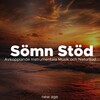 Ludovico Allevia、Mark Water - Sömnproblem