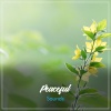 Masajes Spas、Musica Meditaction、Musica para Meditar Especialistas - Sleep Aiding Binaural Beats
