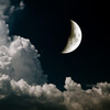Meditation Zen Master、Relaxation Meditation Songs Divine、Rain Recorders - Walk Through Woods
