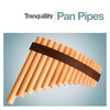 The Panned Pipers - Norwegian Wood (Instrumental)