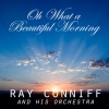 Ray Conniff and His Orchestra《Oh What a Beautiful Morning》[MP3/LRC]