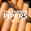 The Panned Pipers - Do You Know Where You're Going To (Instrumental)
