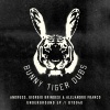 Andruss、Giorgio Brindesi、Alejandro Franco - Underground (Original Mix)