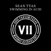 Sean Tyas - Swimming in Acid (Edit)