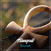 Yoga Music Reflections、Yoga Music Experience、Yoga Music Swami - Amongst the Theta Waves